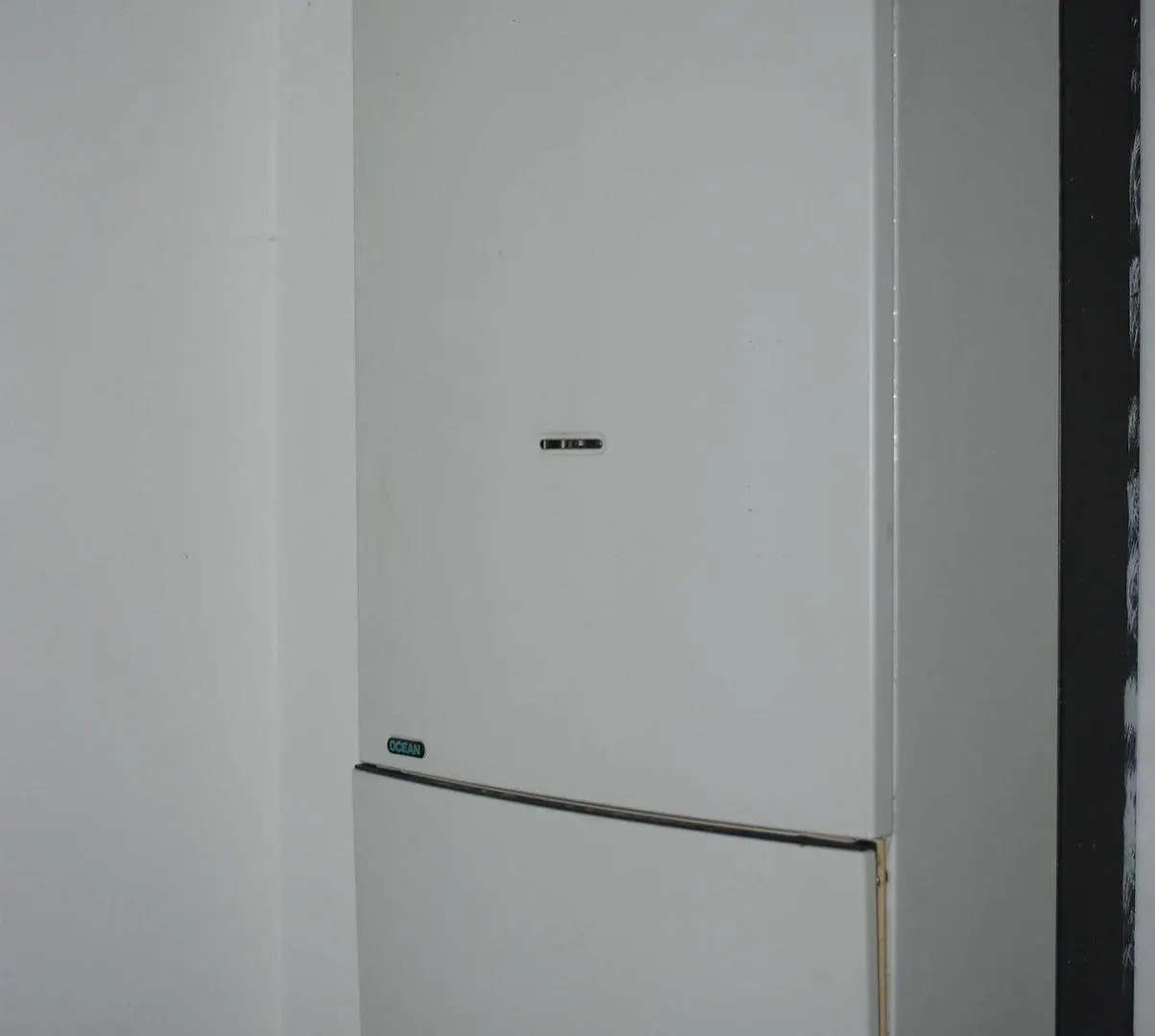 Venice Ae Maschere 2*,